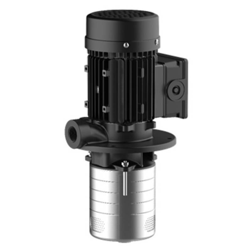 LIC Насос LEO LIC4-60/6