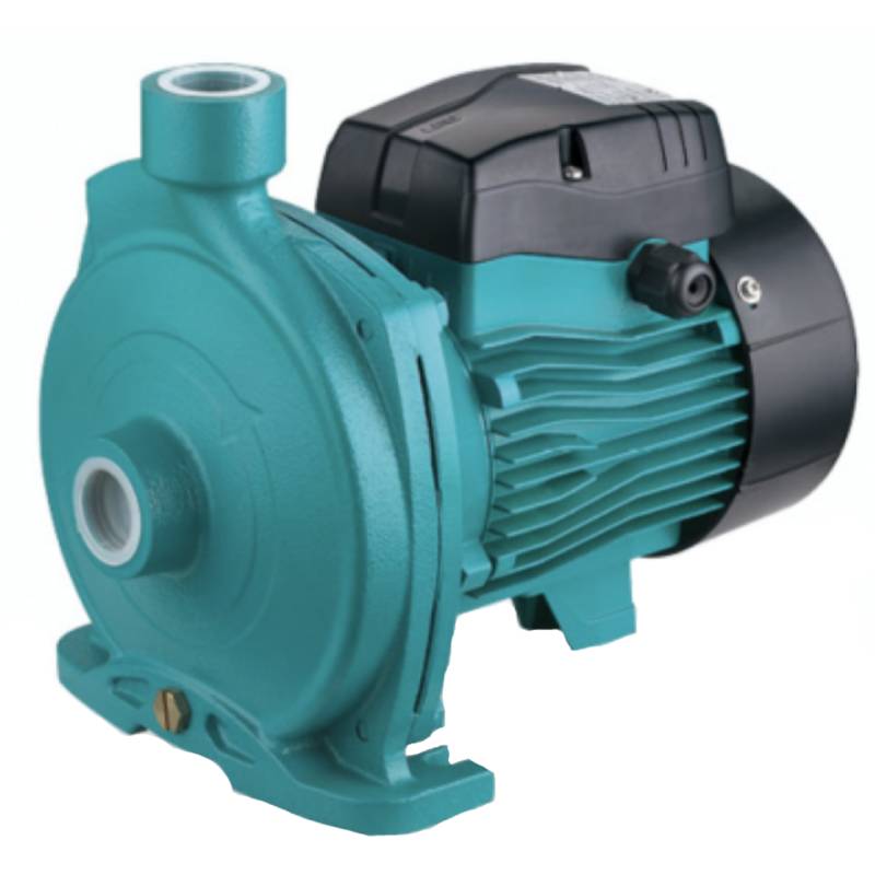 Насос LEO AC110