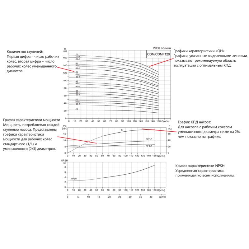 CDM-F_120_Q Насос вертикальный многоступенчатый CNP CDMF120-5 (стандартное исполнение)