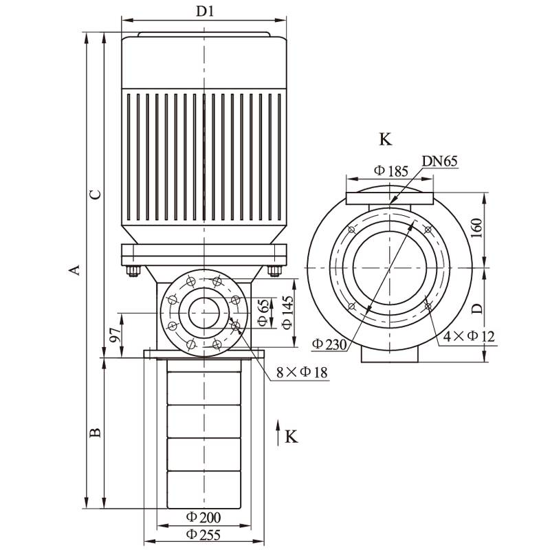 Полупогружной вертикальный многоступенчатый CNP CDLK32-110/11 (стандартное исполнение)