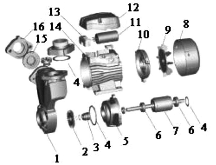 Насос LEO XKSm80-1