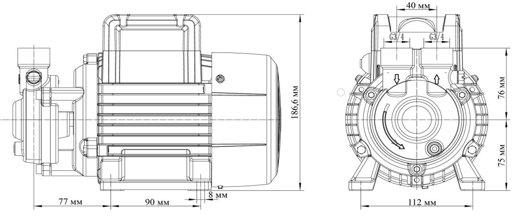 Насос LEO FPm110S