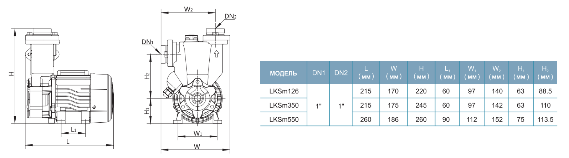 Насос LEO LKSm350