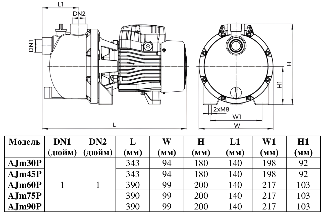 Насос LEO AJm60P