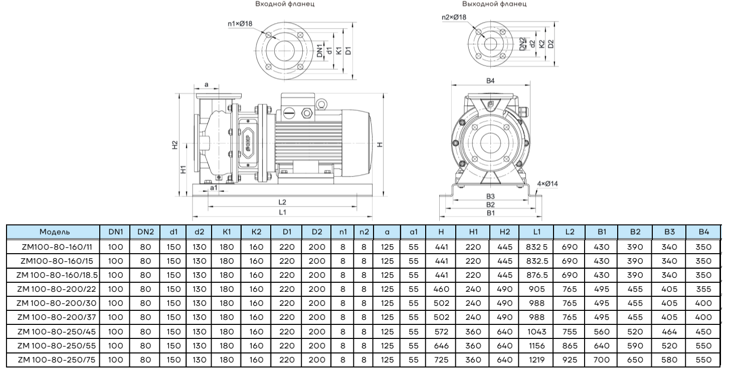 Центробежный насос CNP ZM100-80-160 (11кВт)